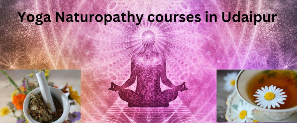 Yoga Naturopathy courses in Udaipur